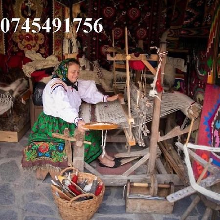 Ileana Sapanta Săpînţa Dış mekan fotoğraf