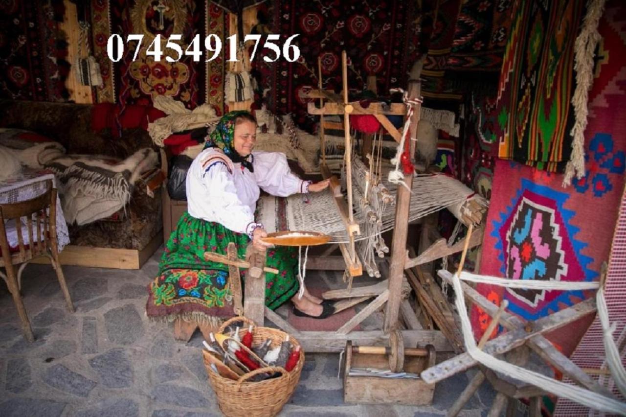 Ileana Sapanta Săpînţa Dış mekan fotoğraf
