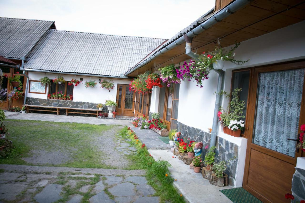 Ileana Sapanta Săpînţa Dış mekan fotoğraf
